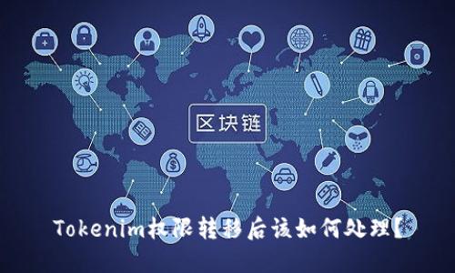 Tokenim权限转移后该如何处理？