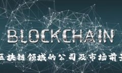 湖南区块链领域的公司及