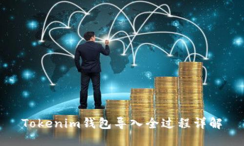 Tokenim钱包导入全过程详解