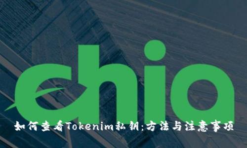如何查看Tokenim私钥：方法与注意事项