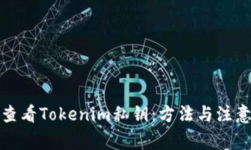 如何查看Tokenim私钥：方法与注意事项
