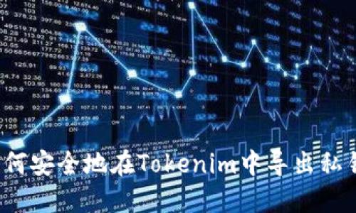如何安全地在Tokenim中导出私钥？