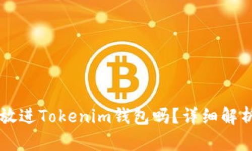 莱特币可以放进Tokenim钱包吗？详细解析与使用指南