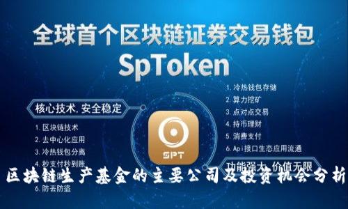 区块链生产基金的主要公司及投资机会分析