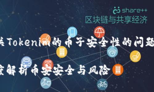 在内容创作中，我们会探讨有关Tokenim的币子安全性的问题。以下是相关信息的详细介绍：

Tokenim里的币子会丢吗？深度解析币安安全与风险