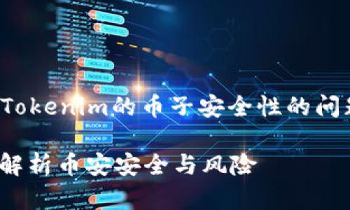 在内容创作中，我们会探讨有关Tokenim的币子安全性的问题。以下是相关信息的详细介绍：

Tokenim里的币子会丢吗？深度解析币安安全与风险