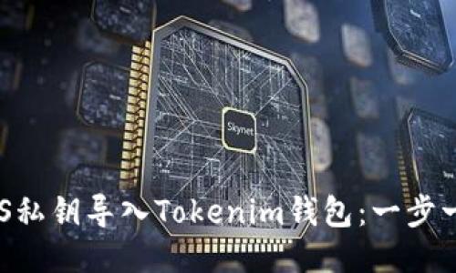 如何将EOS私钥导入Tokenim钱包：一步一步的指南