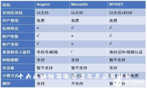 十大区块链筛选方案及其应用解析
