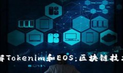 深入了解Tokenim和EOS：区块