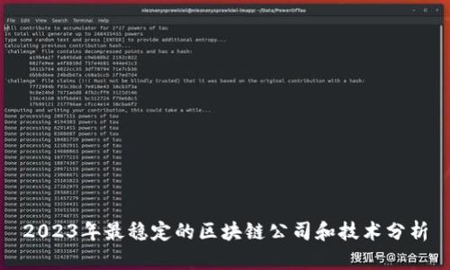 2023年最稳定的区块链公司和技术分析
