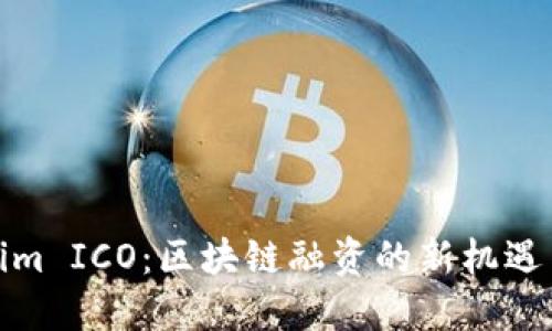 Tokenim ICO：区块链融资的新机遇与挑战