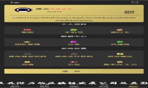 2023年最具潜力的区块链发展公司及其影响力分析