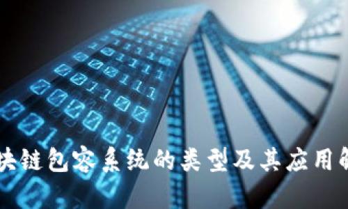 区块链包容系统的类型及其应用解析