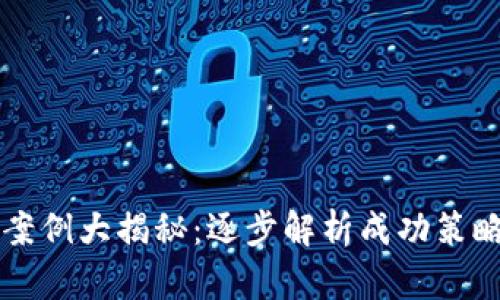 区块链盈利案例大揭秘：逐步解析成功策略与收益模式