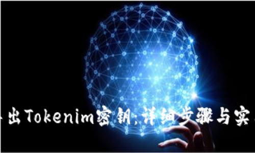 如何导出Tokenim密钥：详细步骤与实用建议