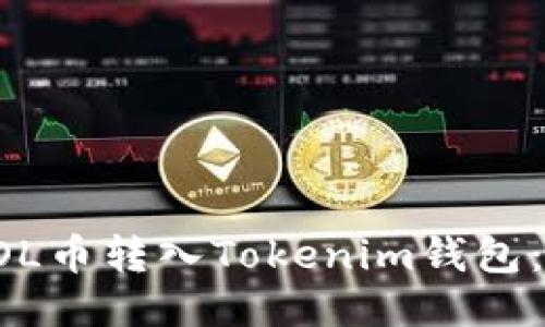 如何将SOL币转入Tokenim钱包：详尽指南