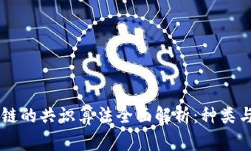 区块链的共识算法全面解析：种类与应用