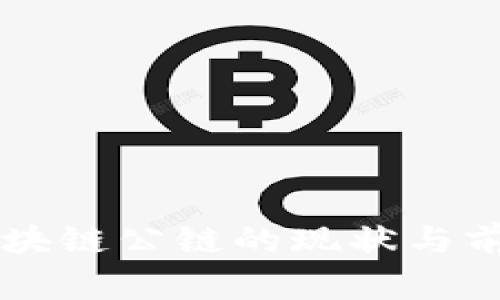 中国区块链公链的现状与前景分析