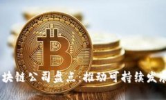 2023年国际能源区块链公司