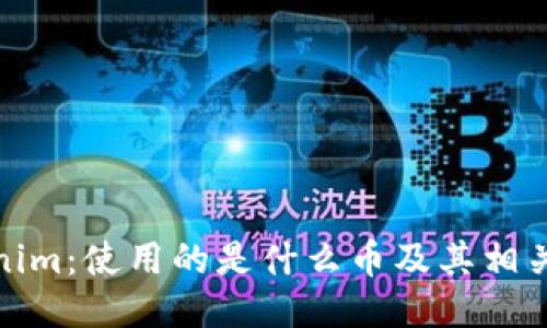 Tokenim：使用的是什么币及其相关信息