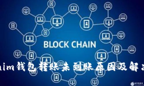 Tokenim钱包转账未到账原因及解决方法