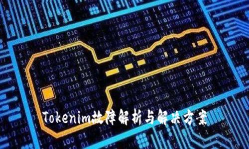 Tokenim故障解析与解决方案