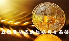 丁磊投资的区块链项目全