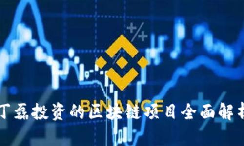 丁磊投资的区块链项目全面解析