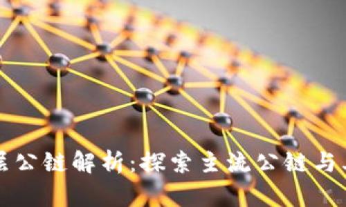 区块链底层公链解析：探索主流公链与其应用场景