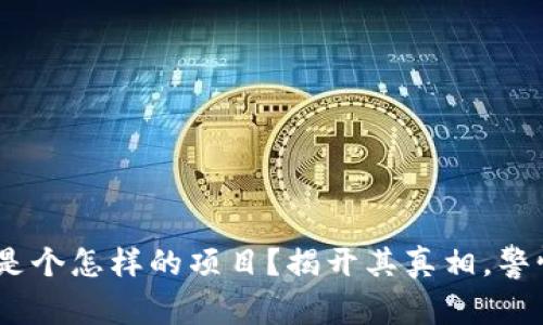 Tokenim到底是个怎样的项目？揭开其真相，警惕潜在的骗局！