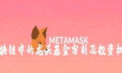 区块链中的龙头基金分析