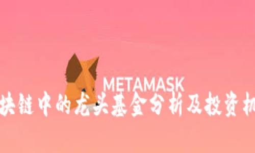 区块链中的龙头基金分析及投资机会