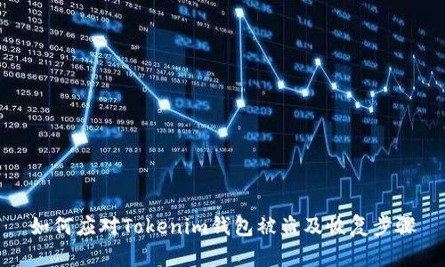 如何应对Tokenim钱包被盗及恢复步骤