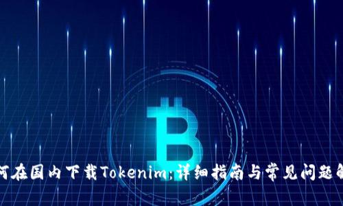 如何在国内下载Tokenim：详细指南与常见问题解答