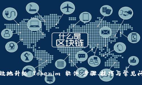 如何高效地升级 Tokenim 软件：步骤、技巧与常见问题解答