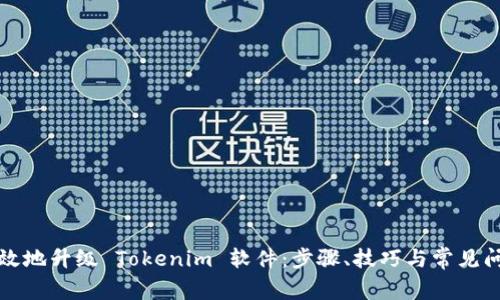 如何高效地升级 Tokenim 软件：步骤、技巧与常见问题解答