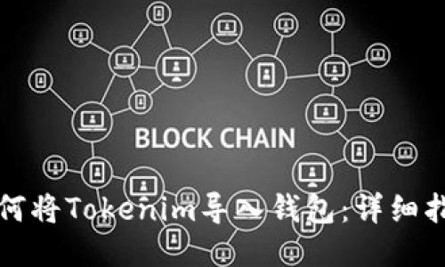 如何将Tokenim导入钱包：详细指南