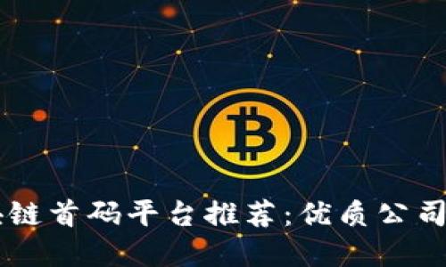 区块链首码平台推荐：优质公司一览