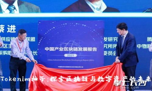 Tokenim柚子：探索区块链与数字资产的未来