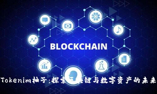 Tokenim柚子：探索区块链与数字资产的未来