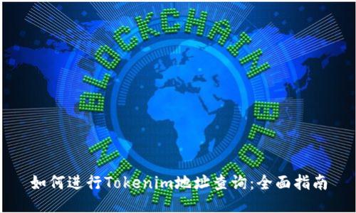 如何进行Tokenim地址查询：全面指南