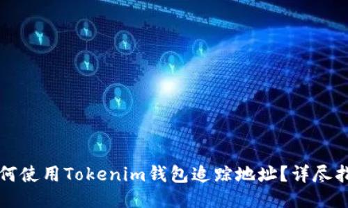 如何使用Tokenim钱包追踪地址？详尽指南