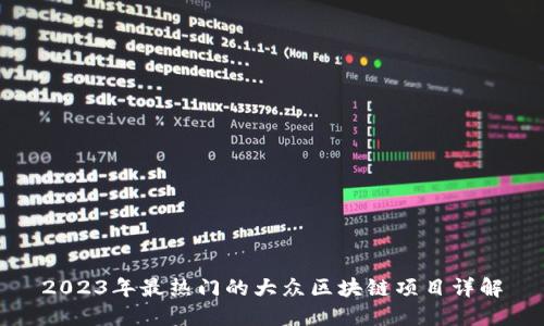 2023年最热门的大众区块链项目详解