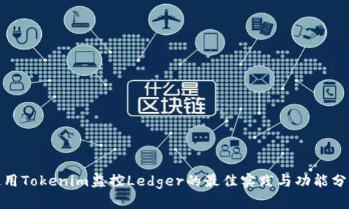 使用Tokenim监控Ledger的最佳实践与功能分析