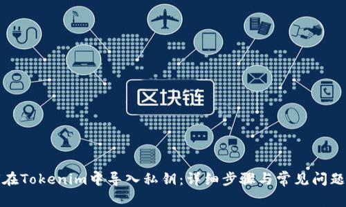 如何在Tokenim中导入私钥：详细步骤与常见问题解答