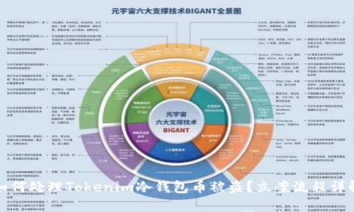如何处理Tokenim冷钱包币被盗？立案流程详解