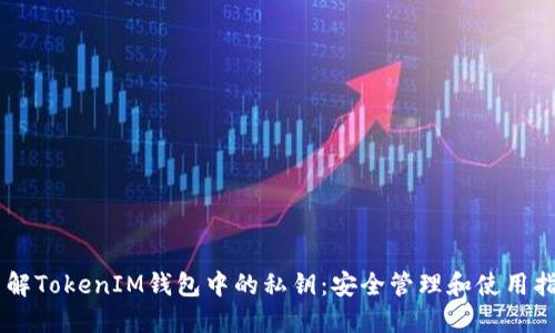 了解TokenIM钱包中的私钥：安全管理和使用指南