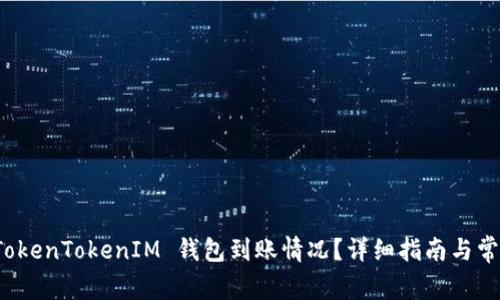如何查询 TokenTokenIM 钱包到账情况？详细指南与常见问题解答