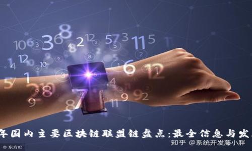 2023年国内主要区块链联盟链盘点：最全信息与发展动态