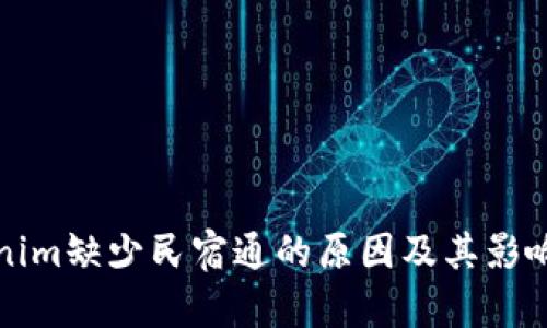 Tokenim缺少民宿通的原因及其影响分析